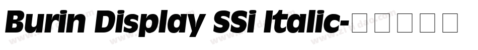 Burin Display SSi Italic字体转换